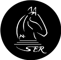 Servicios Estratégicos Rentables - TI